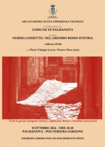 norma 26